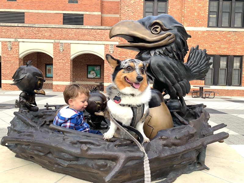 jayhawk statue-